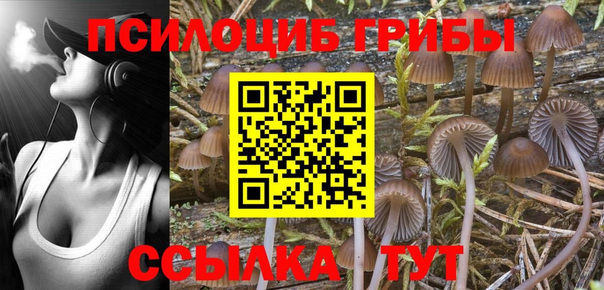 Галлюциногенные грибы Magic Shrooms Чайковский